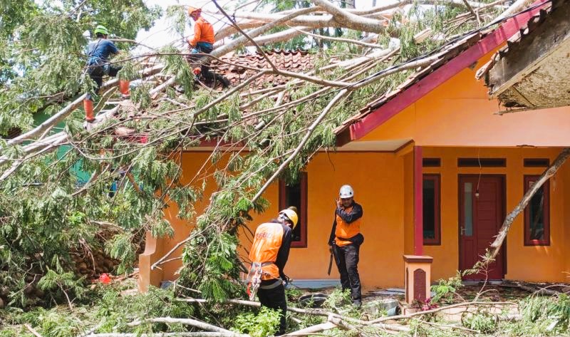 Petugas BPBD Ciamis menanggulangi pemukiman rumah warga yang rusak terdampak bencana alam angin puting beliung di Kabupaten Ciamis, Jawa Barat. (Foto: ANTARA)