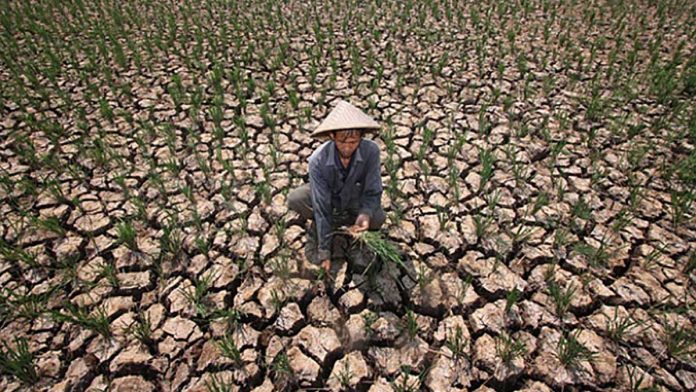 El Nino (Foto : AgroIndonesia)
