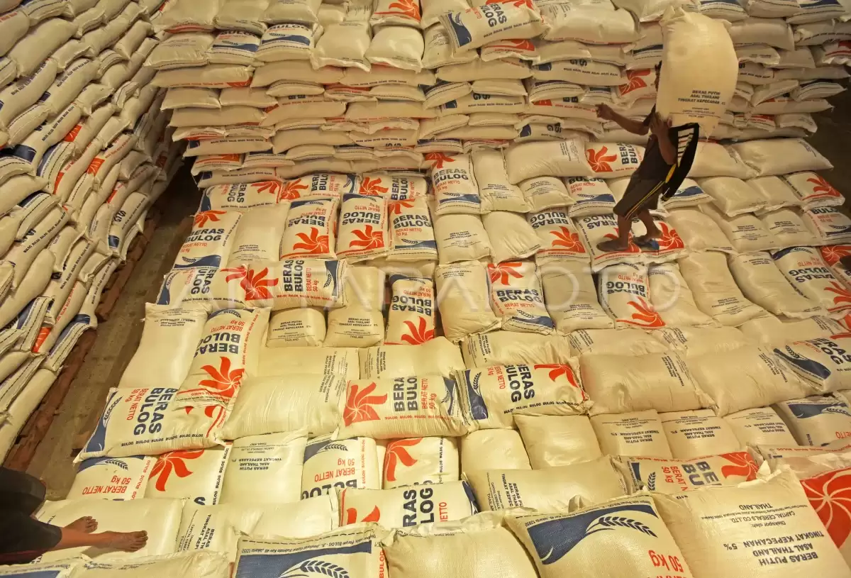 Pekerja memikul beras impor dari Thailand di gudang Bulog Sub-Divre Serang di Serang, Banten. (Foto : ANTARA)