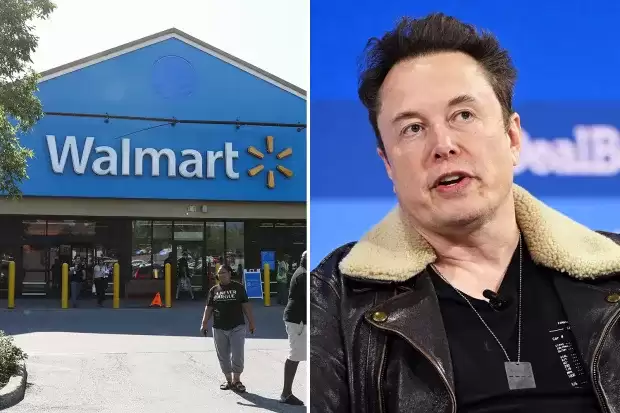 Walmart dan Elon Musk (Foto: The Sun)
