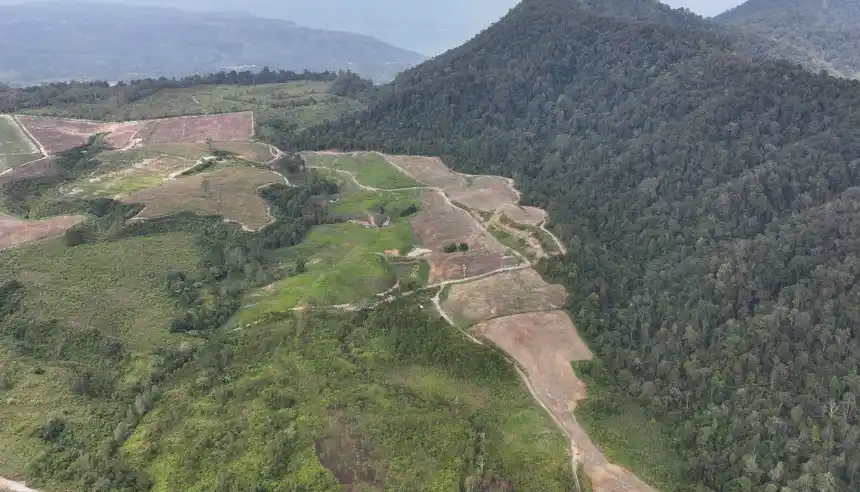 Banjir Bandang Menimpa Parapat