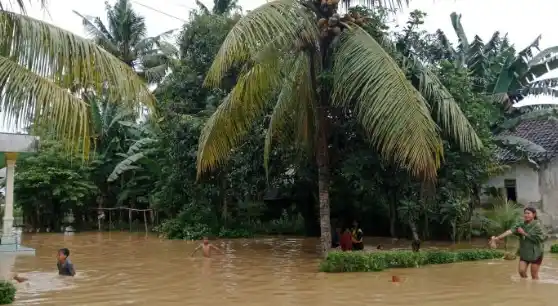 Banjir yang menggenangi rumah warga di Desa Wonoasri, Kecamatan Tempurejo, Kabupaten Jember pada Jumat (29/11/2024). (Foto: ANTARA)