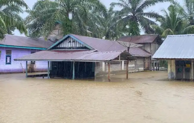 Banjir merendam pemukiman penduduk di Aceh Singkil. (Foto: Antara)