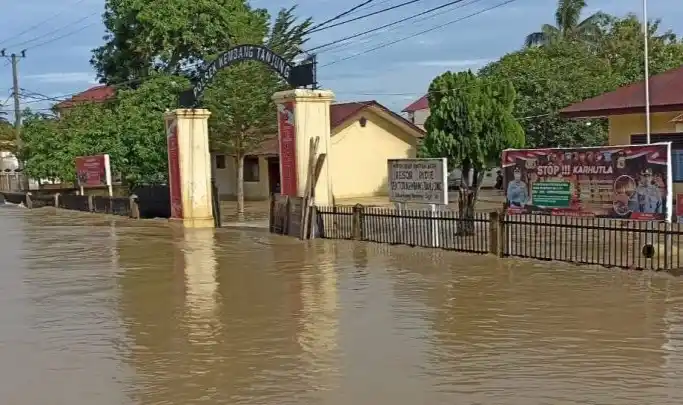 Banjir merendam pemukiman warga di Kembang Tanjong, Kabupaten Pidie, Aceh (Foto: Antara)