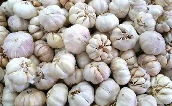 Bawang Putih (Foto: Ist)