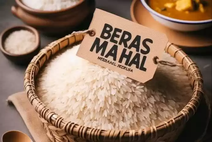 Ilustrasi Beras Mahal (Foto: Ist)