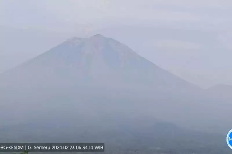 Gunung Semeru erupsi dengan menyemburkan abu vulkanik pada Jumat (23/2), pukul 06.33 WIB. (Foto: ANTARA)