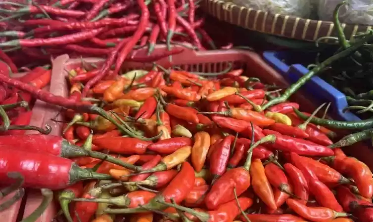 Cabai rawit merah dan cabai merah keriting yang dijual pedagang di Pasar Cabai rawit merah dan cabai merah keriting yang dijual pedagang di Pasar