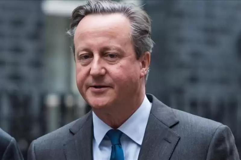 Menteri Luar Negeri Inggris David Cameron. (Foto: ANTARA)