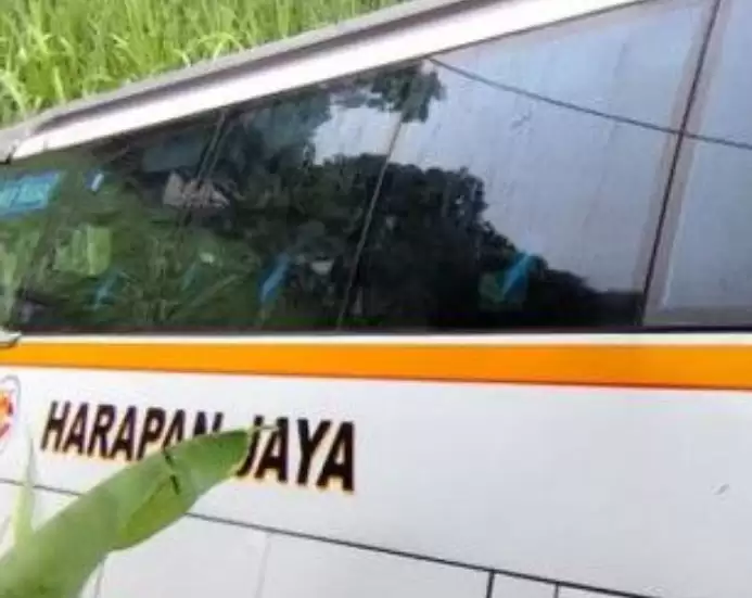 Kecelakaan Bus di Kediri Jawa Timur (Foto: MI/Antara)