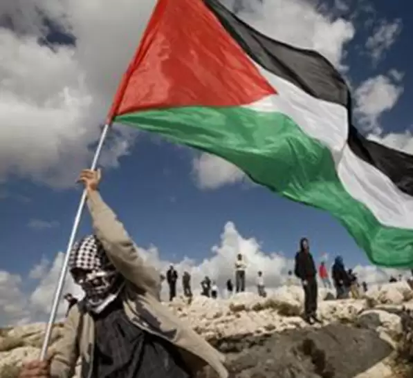 Bendera Palestina (Foto: Istimewa)