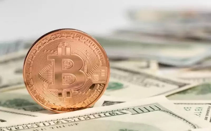 Ilustrasi Bitcoin dan Dolar (Foto: Freepik)