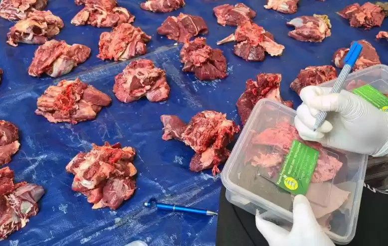 Panitia mengemas daging hewan kurban milik warga usai disembelih. (Foto: Antara)
