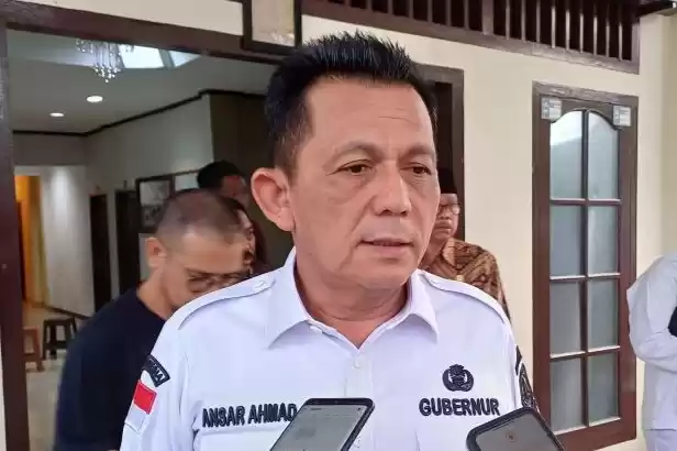 Gubernur Kepulauan Riau Ansar Ahmad. (Foto: Antara)