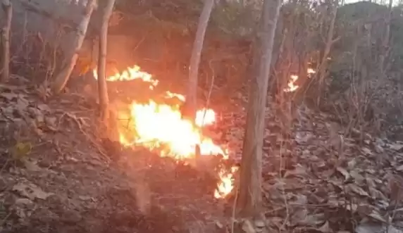Kebakaran hutan di Kabupaten Bima. (Foto: Antara)