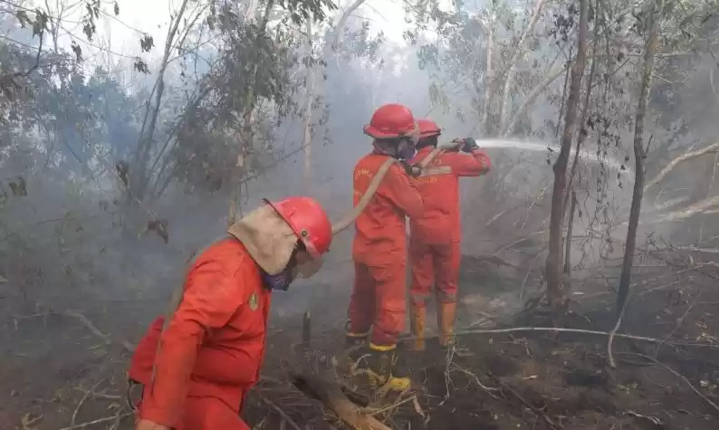 Personal satgas karhulta memadamkan api di Kecamatan Lempuing Jaya, Ogan Komering Ilir, Sumsel. (Foto: Antara)