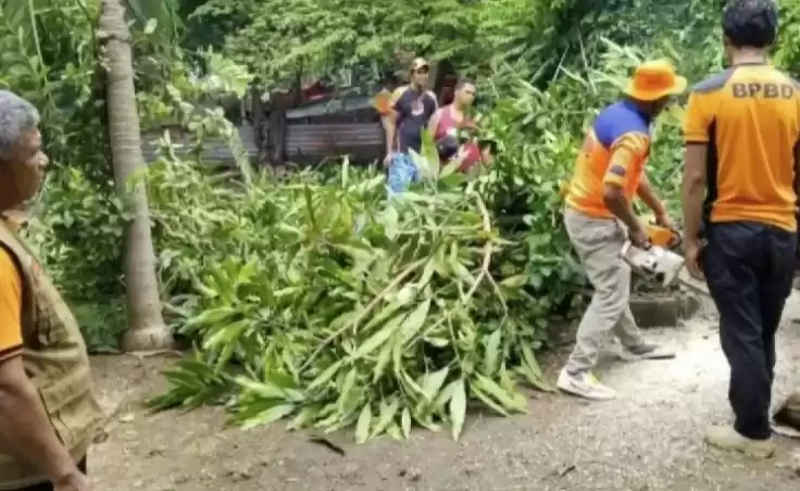 Tim BPBD evakuasi pohon tumbang. (Foto: Antara)