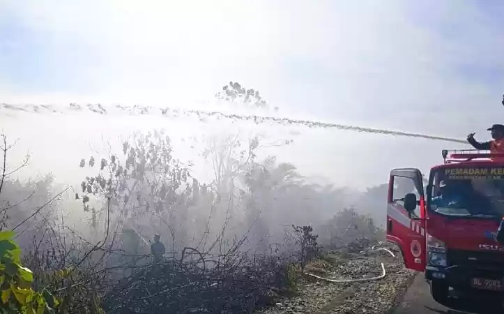 Petugas BPBD melakukan pemadaman api di lokasi kebakaran lahan. (Foto: Antara)