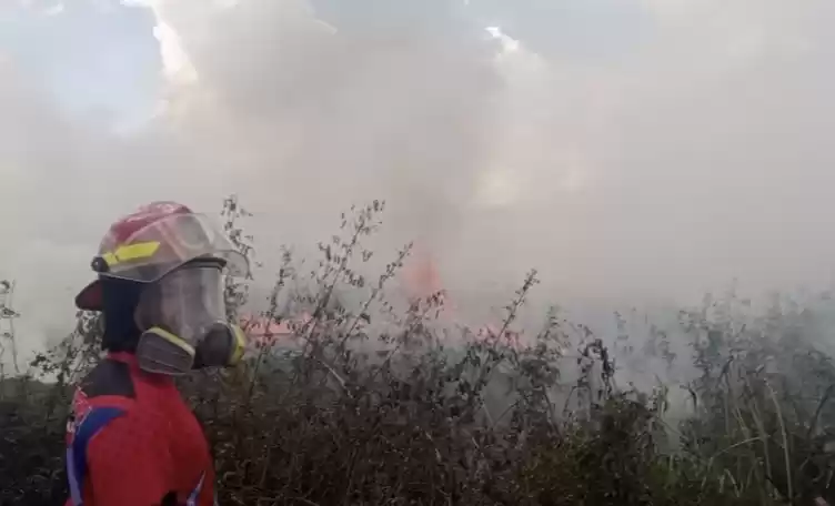 Personil Damkar kota jambi padamkan api. (Foto: Antara)