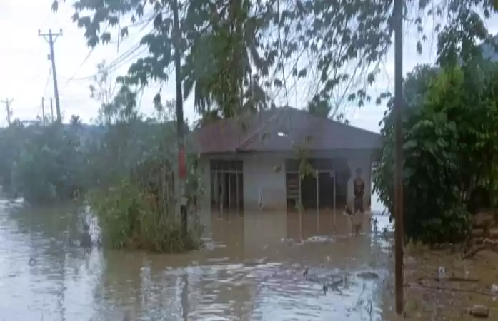 Rumah warga di Desa Balinggi Jati, Kabupaten Parigi Moutong terendam banjir. (Foto: Antara)