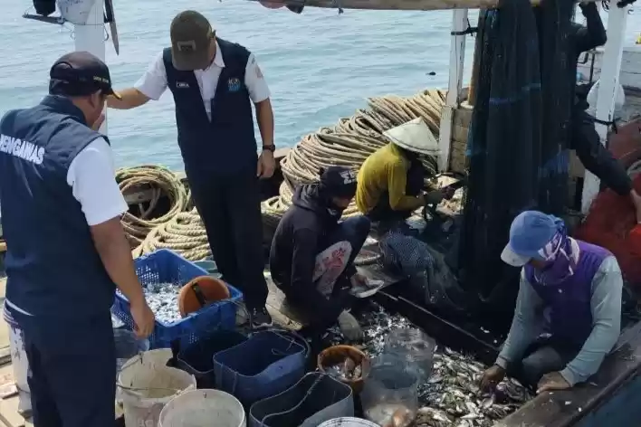 Suku Dinas Ketahanan Pangan, Kelautan dan Pertanian Kabupaten Kepulauan Seribu melakukan monitoring. (Foto: Antara)