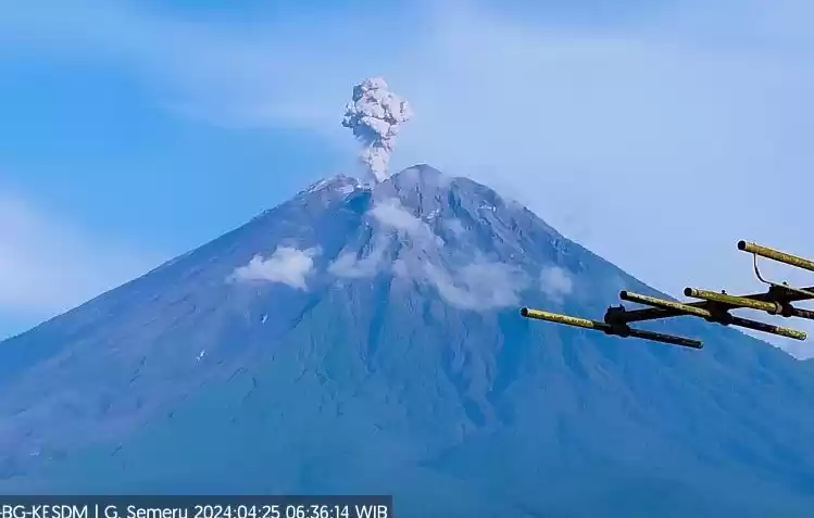 Kolom abu vulkanik membumbung akibat akibat erupsi yang terjadi pada Gunung Semeru di Jawa Timur, Kamis (25/4/2024). (Foto: Antara)