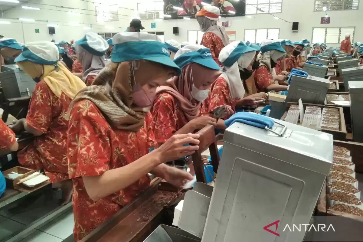 Sejumlah pekerja rokok di salah satu pabrik rokok terbesar di Kabupaten Kudus, Jawa Tengah, tengah sibuk menyelesaikan tugas pembuatan rokok sigaret kretek tangan, Selasa (2/4/2024).