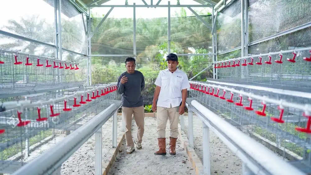 PT Timah Serahkan Bantuan Usaha Budidaya Ayam Petelur di Bangka Barat [Foto: Doc. PT Timah]