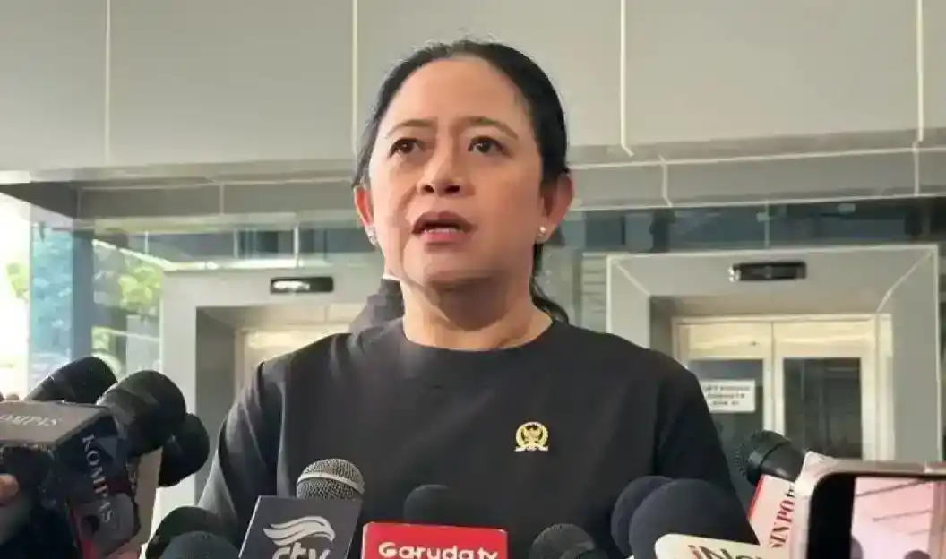Ketua DPR RI Puan Maharani (Foto: Ist)