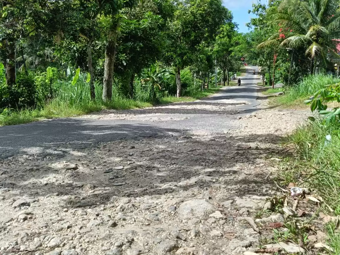 Kondisi jalan rusak di Desa Kedungsalam, Kecamatan Donomulyo, Kabupaten Malang. (Foto : MI/Rina Sugeng Yuliani)