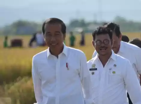 Syahrul Yasin Limpo saat mendampingi Presiden Joko Widodo meninjau panen raya padi di Kelurahan Baji Pamai, Kabupaten Maros, Sulawesi Selatan. (Foto: Humas Kementan)