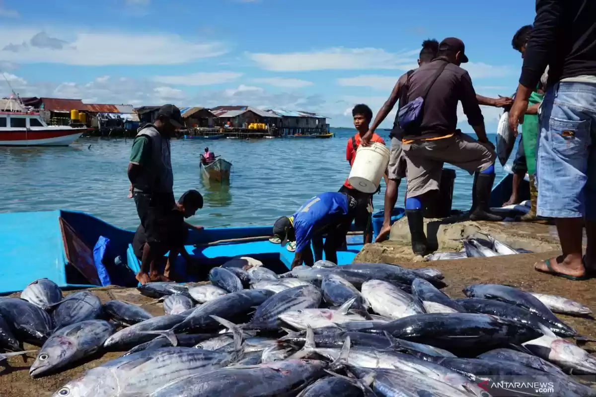 Ilustrasi - Nelayan membongkar muatan tangkapan ikan di Tempat Pelelangan Ikan (TPI) Kota Sorong, Papua Barat Daya (Foto: Antara)