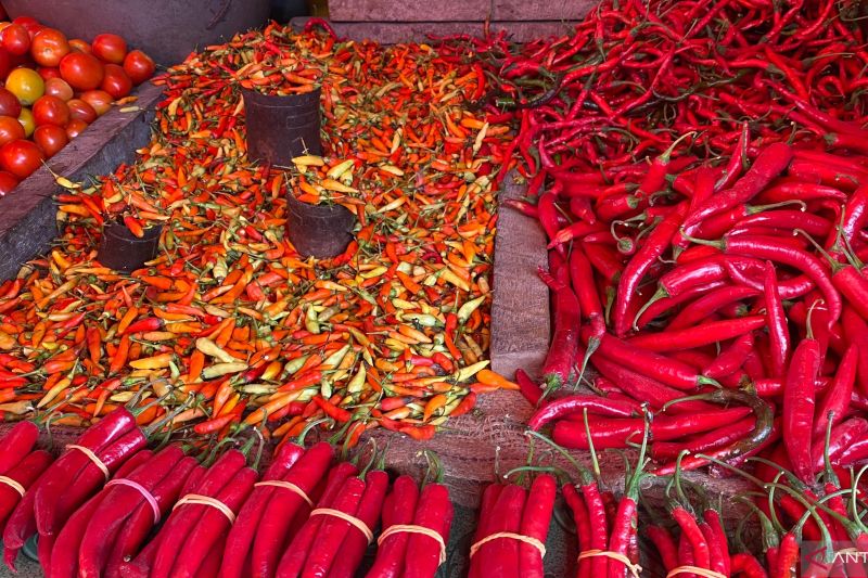 Cabai rawit yang mengalami kenaikan harga dijual di Pasar Basah Kota Kendari. (Foto:MI/Antara)