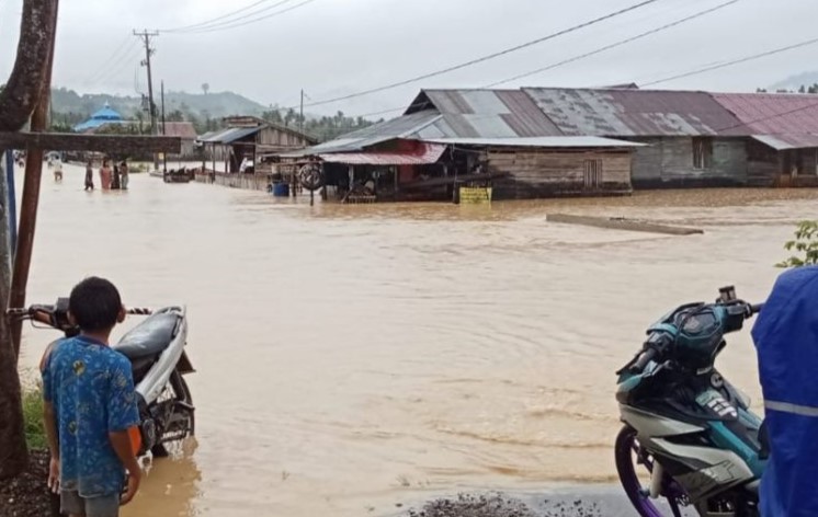 Rumah warga terendam banjir di Kabupaten Buol, Minggu (3/3/2024). (Foto: ANTARA)
