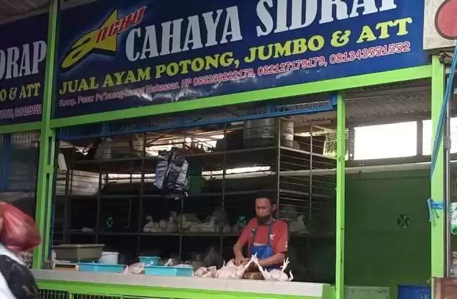 Suasana pedagang ayam potong di pasar tradisional Makassar. (Foto: ANTARA)