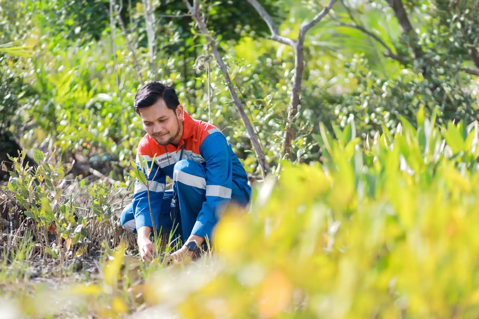 Pertamina Kembangkan Kawasan Mangrove dan Pengelolaan Sampah Kamal Muara [Foto: Doc. Pertamina]