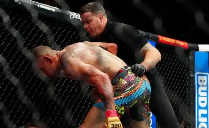 Petarung kelas berat ringan Ultimate Fighting Championship (UFC) Alex Pererira menumbangkan lawannya Khalil Rountree. (Foto: Antara)