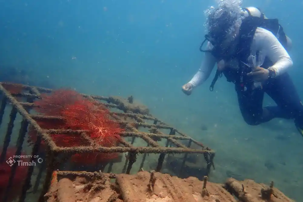 PT Timah Kembali Tenggelamkan Ribuan Artificial Reef [Foto: Doc. PT Timah]