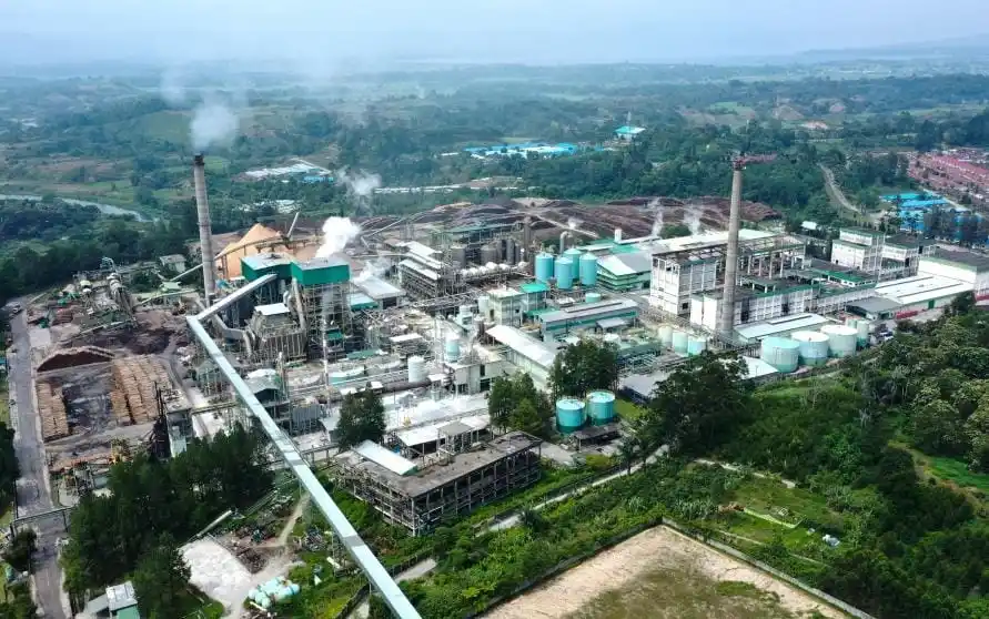 PT Toba Pulp Lestari Tbk (Foto: Dok TPL)