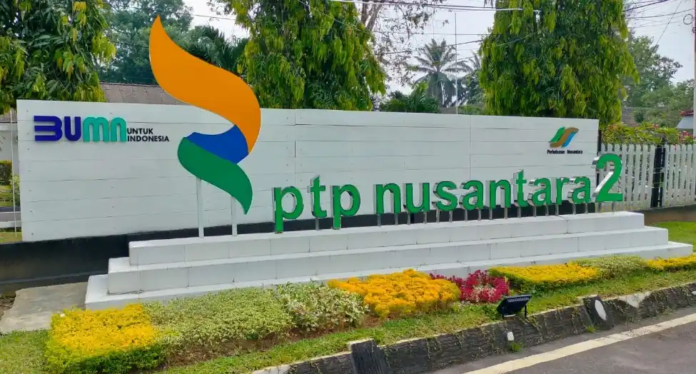 PTPN II (Foto: Istimewa)