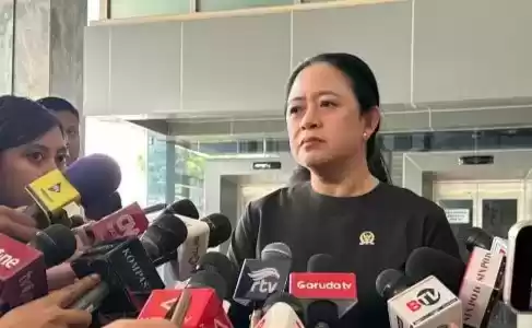 Ketua DPP PDI Perjuangan, Puan Maharani (Foto: MI/Dhanis)