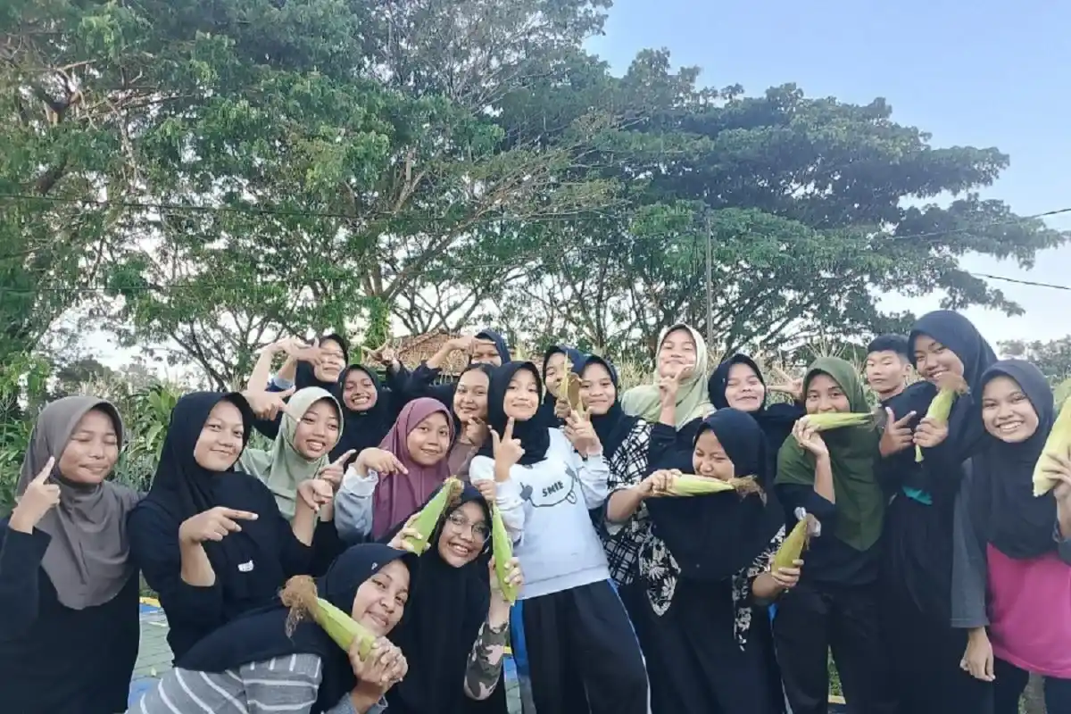 Para siswa Pemali Boarding School PT Timah panen jagung di Bangka [Foto: Doc. PT Timah]