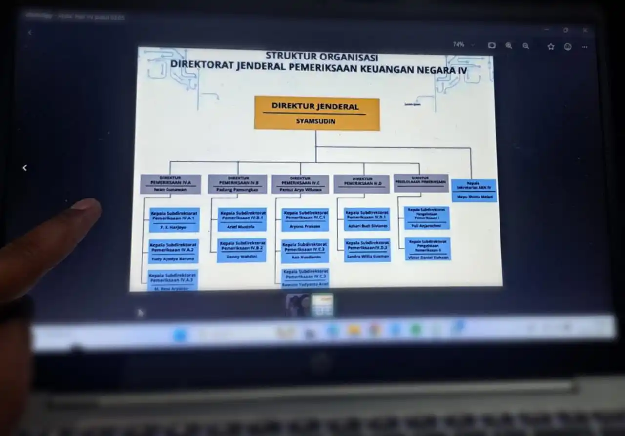 Ilustrasi - Struktur Organisasi Direktorat Jenderal Pemeriksaan Keuangan Negara (PKN) IV BPK RI (Foto: Dok MI/Diolah)