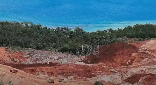 Tambang Nikel di Wilayah Raja Ampat, Papua Barat Daya (Foto: Ist)