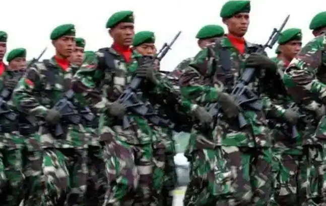Tentara Nasional Indonesia (TNI) (Foto: Ist)