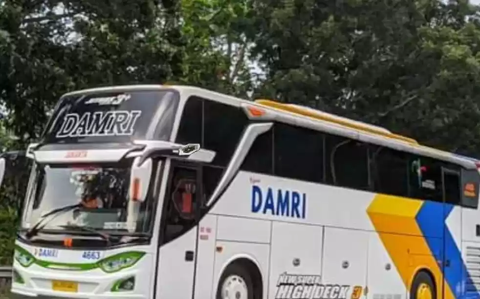 Bus Damri (Foto: Dok MI)